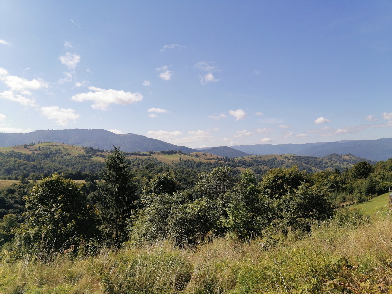 Синевир вже не той. Як змінилося найбільше озеро Українських Карпат за десять років